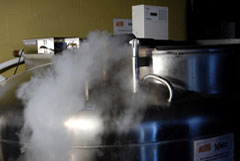 cryo freezer