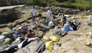 fossil dig