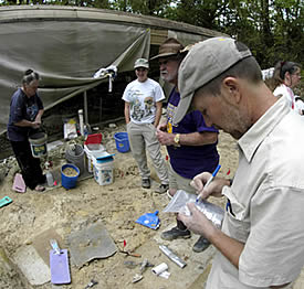 scientists in the field at a dig site