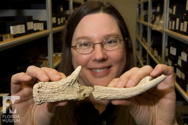 Kitty Emery holding white-tailed deer antler