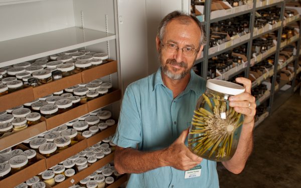 Gustav Paulay with specimens