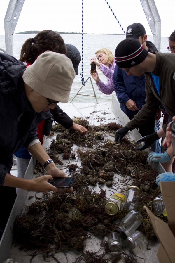 Researchers sort contents collected near Cedar Key