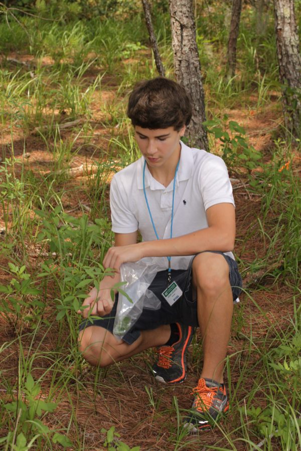 Museum volunteer Logan Locascio