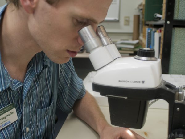 Klompmaker examining fossil under microscope