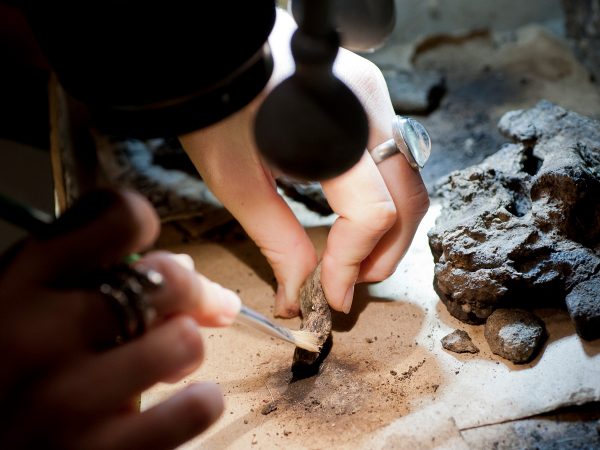 A researcher dusts off a fossil with a paintbrush