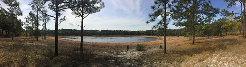 Ordway upland lake