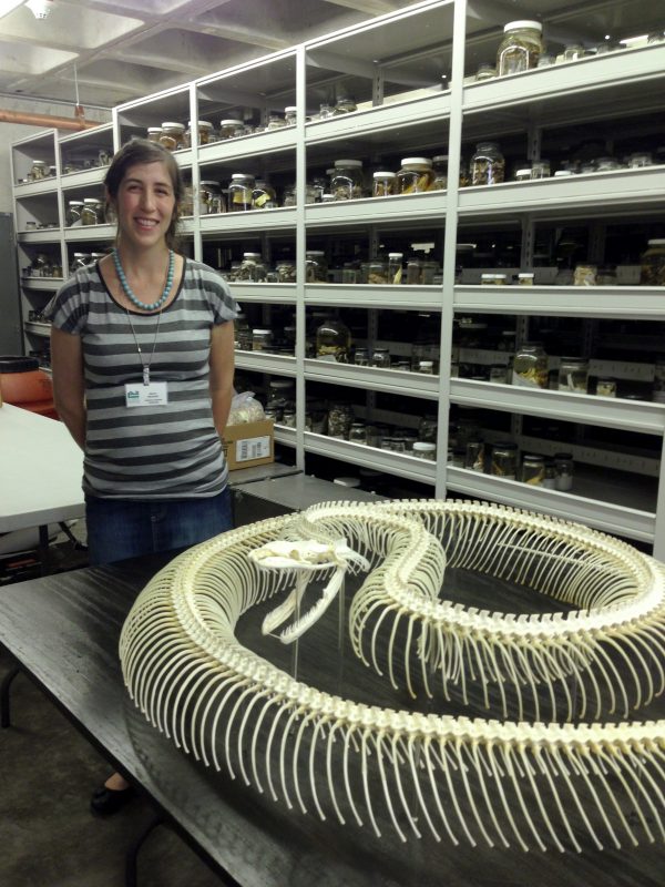 Reichart standing next to the python skeleton