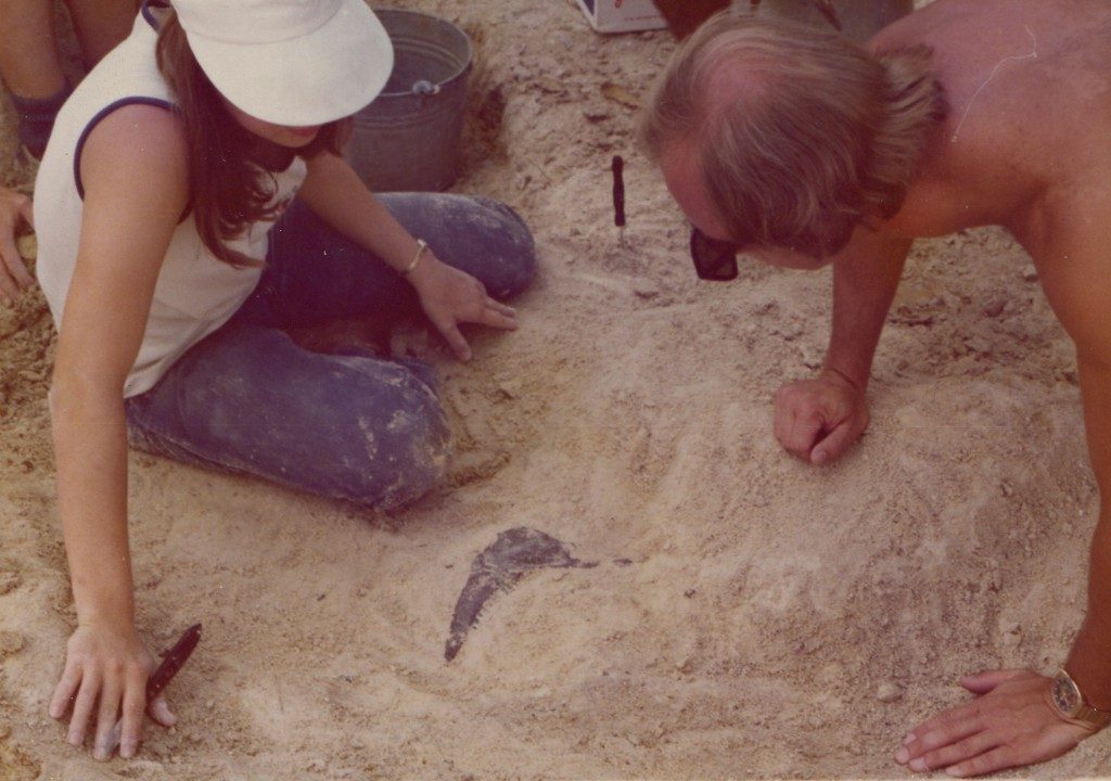 participants examining a burried fossil jaw bone