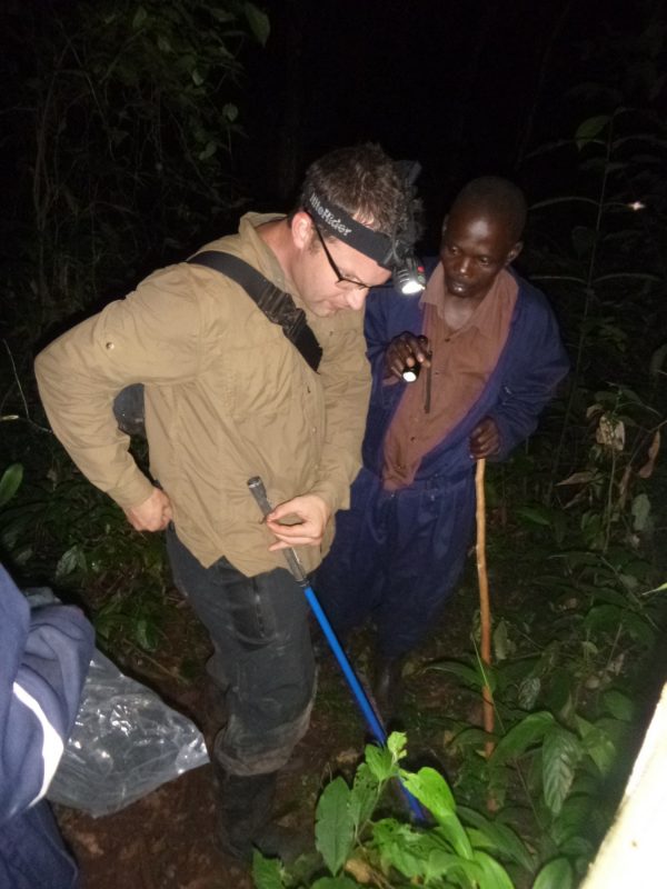 two men searching for frogs at night