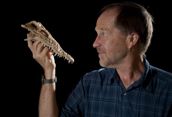 Florida Museum ornithology curator David Steadman