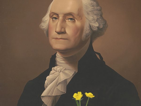 illustration of George Washington with buttercup flowers in chest pocket