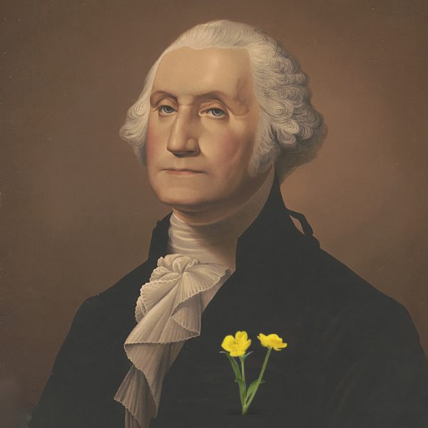 illustration of George Washington with buttercup flowers in chest pocket