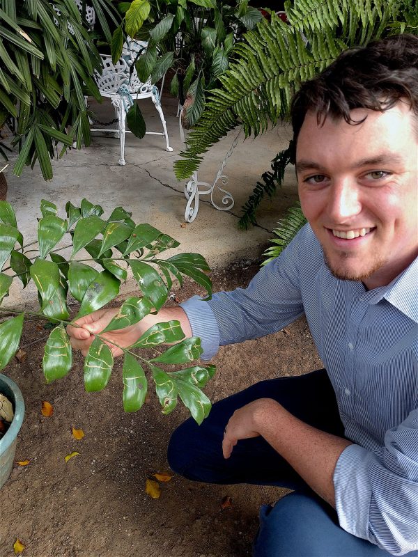 Nathan with cycad