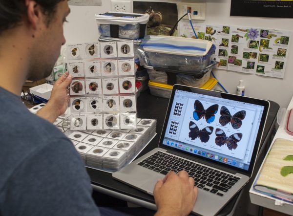 Ryan comparing specimens