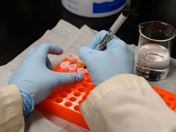 gloved hands write on a PCR tube