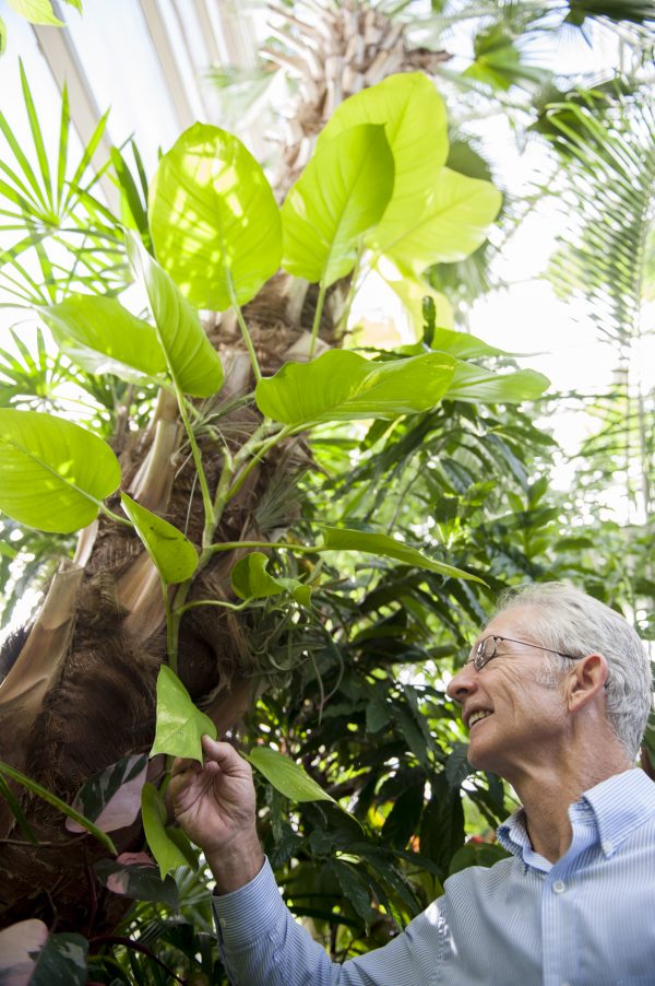 Doug examining philodendron