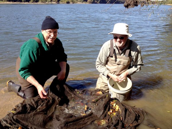 Jim and Larry kneeling in water over a net