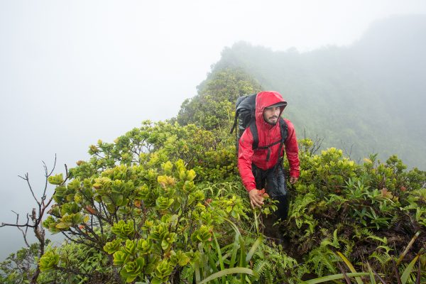 man hiking verdant moutain ridge