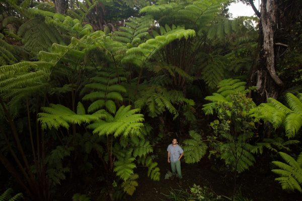 man standing below large plants