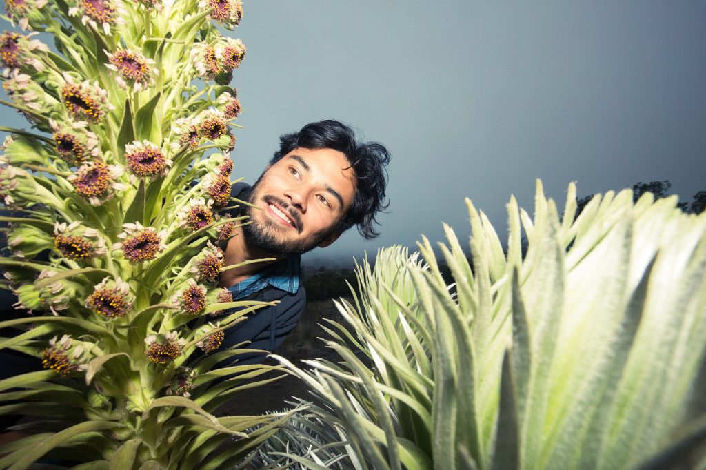 Chris Johns examines a large plant