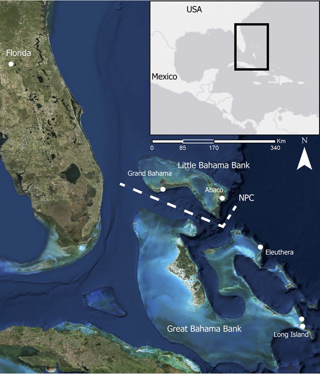 map of Bahamas with area marked
