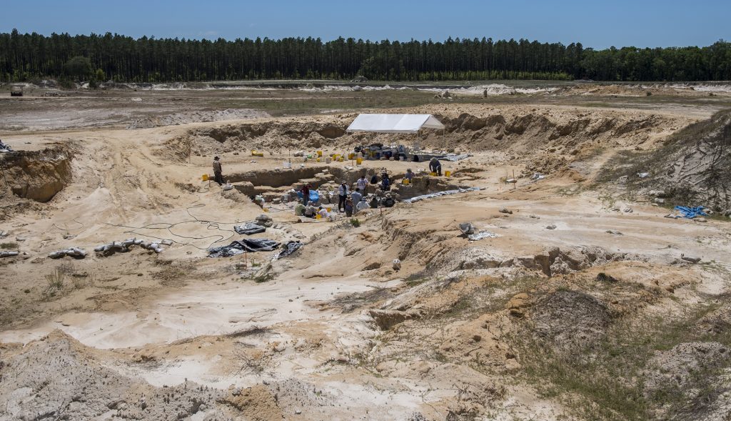 About 380 volunteers dug alongside museum scientists during the 2016-17 excavation season. Florida Museum photo by Jeff Gage