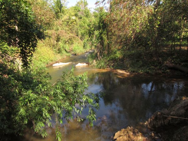 Thailand stream