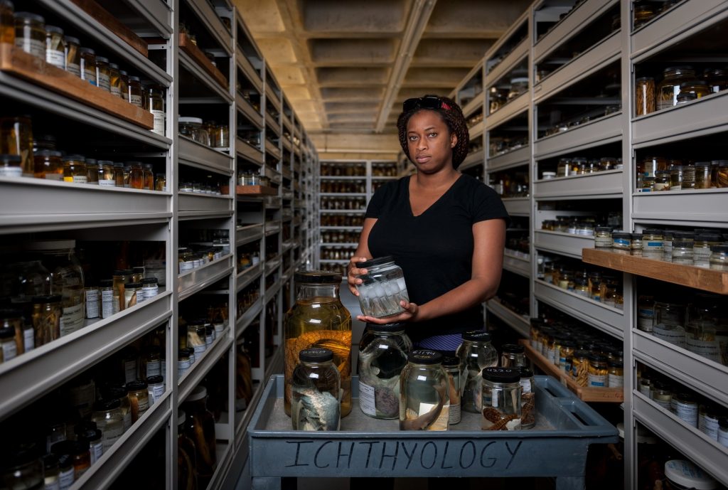 Adania Flemming in the ichthyology collection