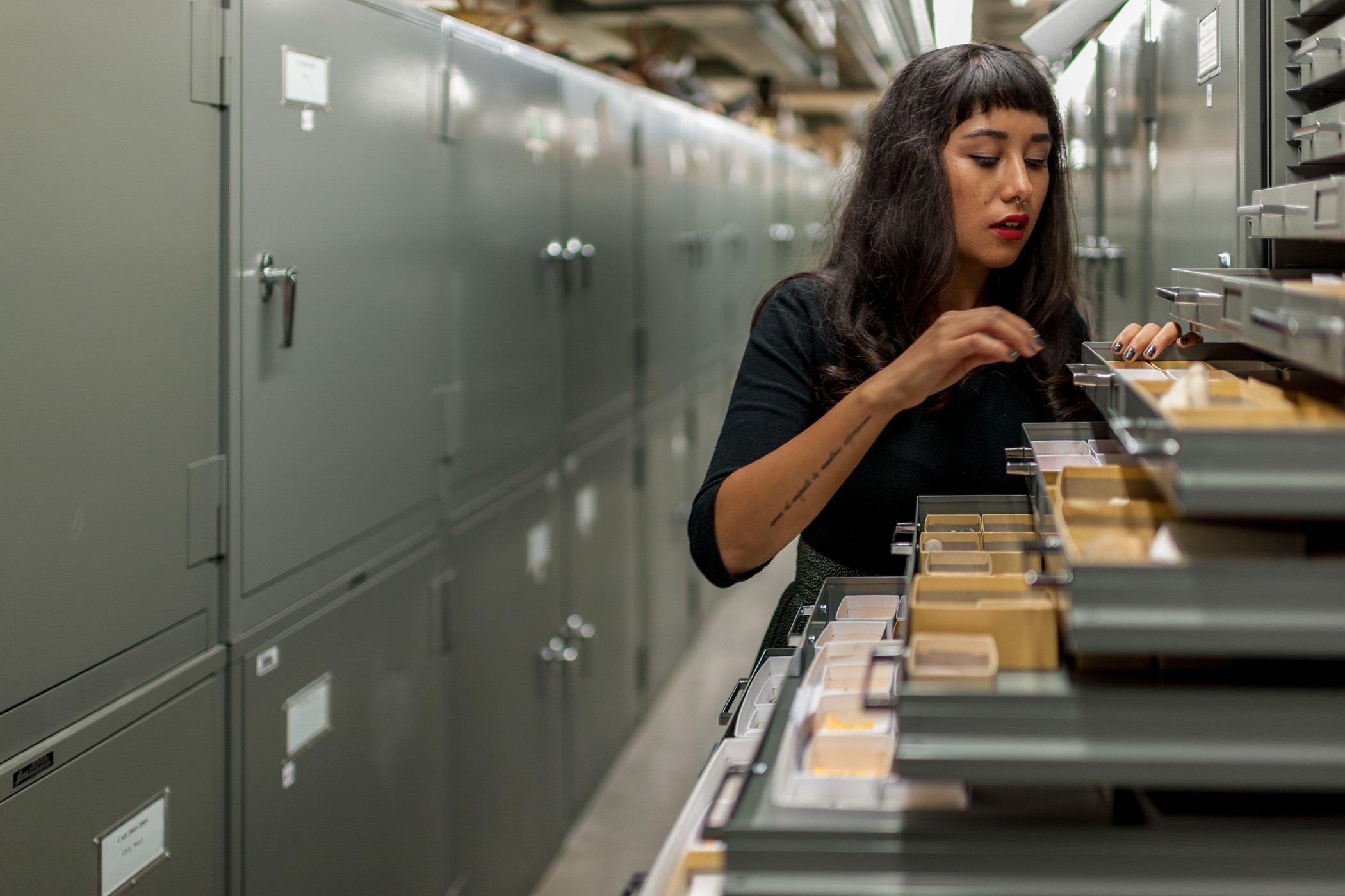 Michelle Barboza looking through collection drawers