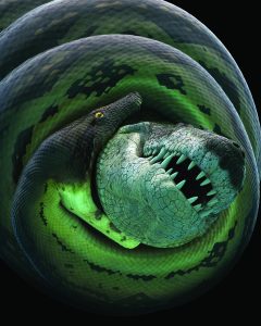 titanoboa attacking prey