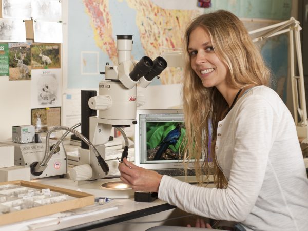 Jessica Oswald examines a bird fossil