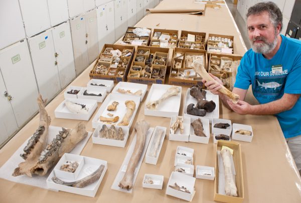 Richard Hulbert with donated fossils