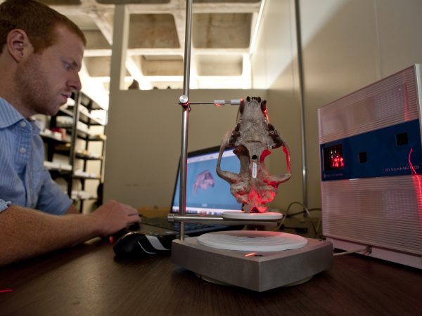 A scientist scans fossil