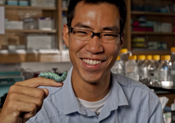 Akito Kawahara holds a hornworm