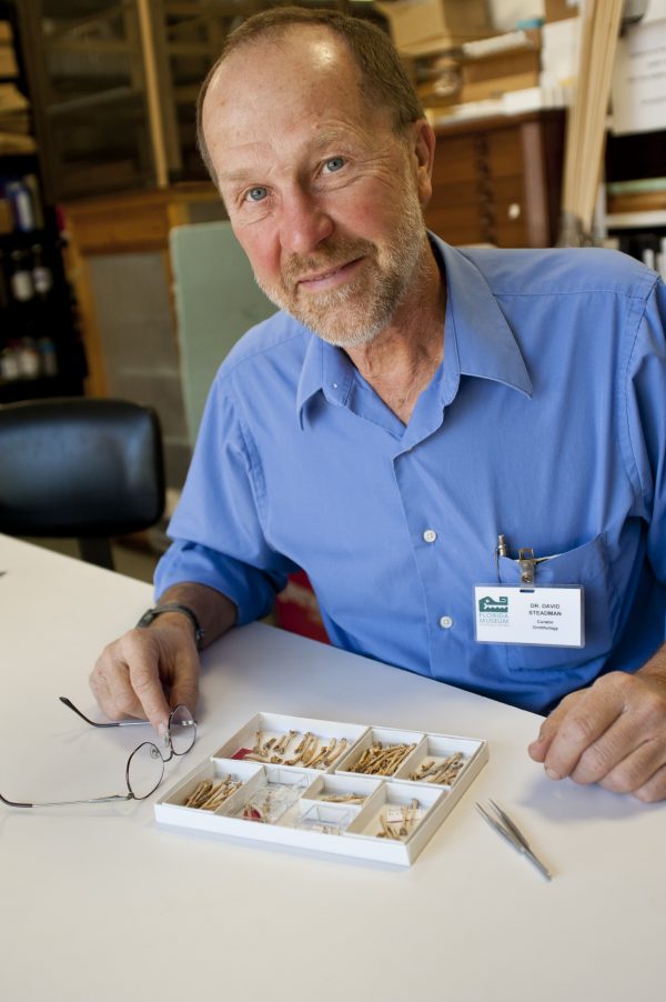 David Steadman with bird bones