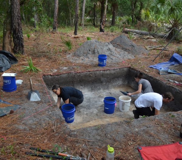 students excavate dig site