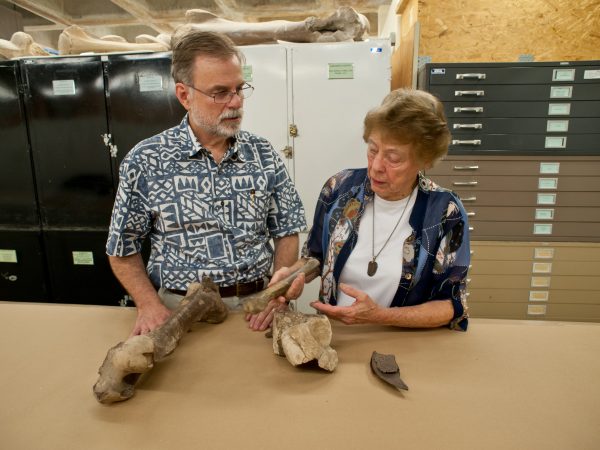 Two researchers look over a fossil