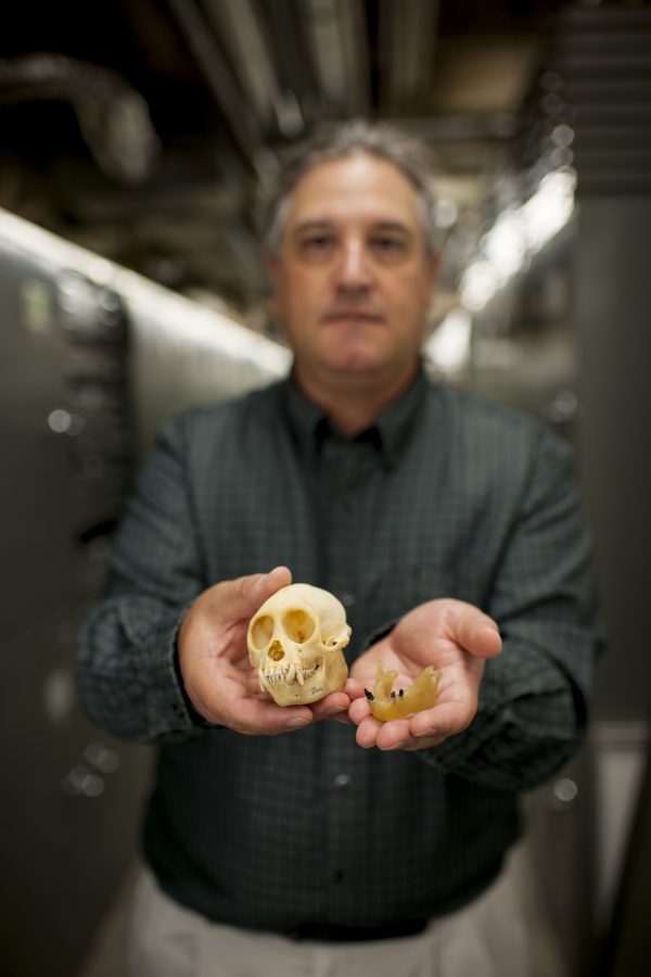 Jonathan Bloch holding fossil teeth
