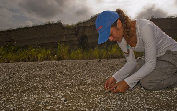 Pimiento examining a fossil shark tooth