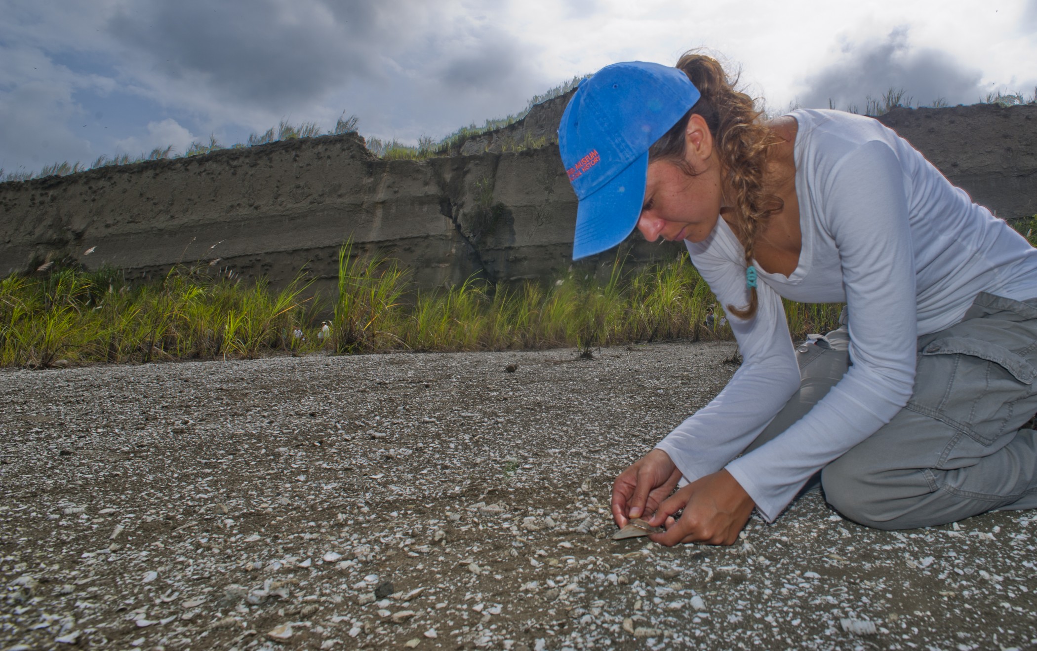 Megalodon shark became extinct 2.6 million years ago – Research News