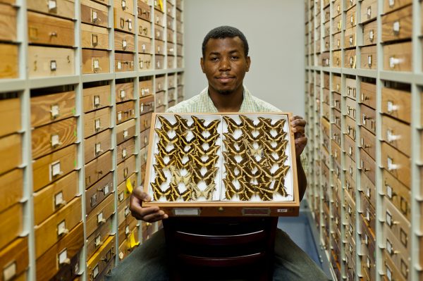 Lewis with butterfly specimens