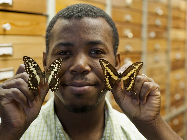 Delano Lewis with butterfly specimens