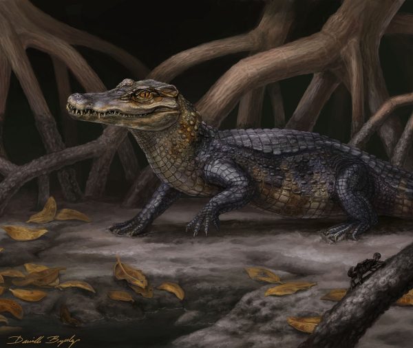 crocodillian illustration