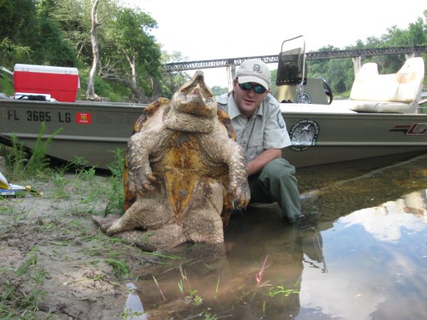 Travis Thomas with alligator snapping turtle