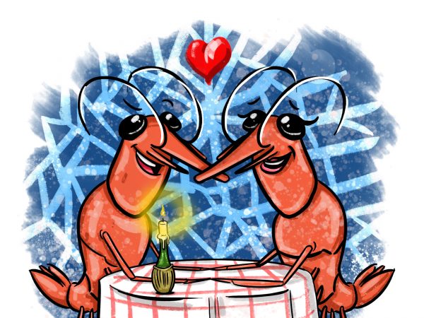 Cartoon of two shrimps at a romantic candlelit dinner inside a sponge