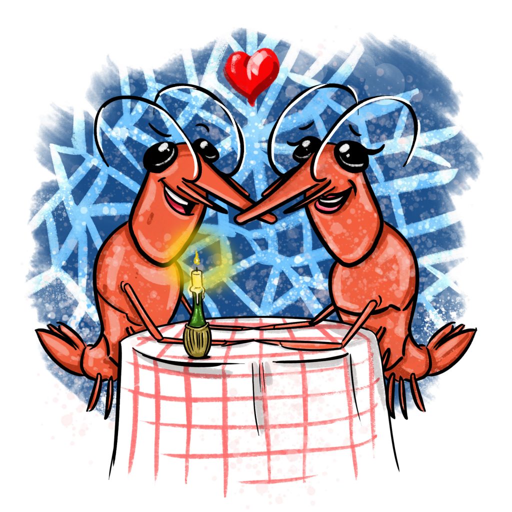 Cartoon of two shrimps at a romantic candlelit dinner inside a sponge