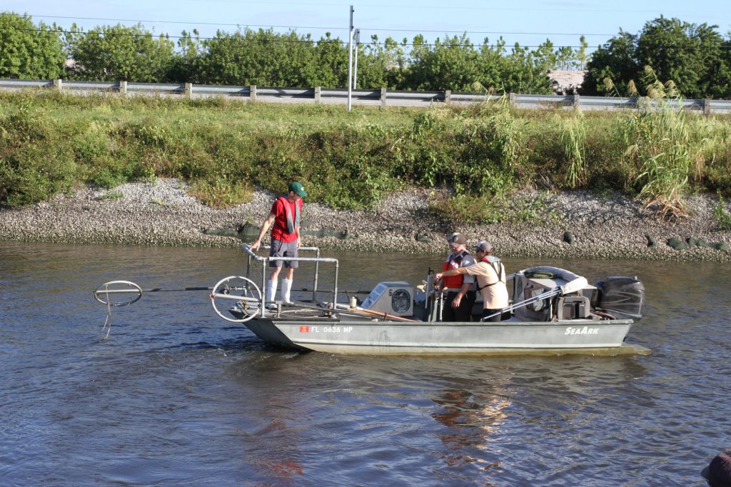 biologists in a boat looking for fish