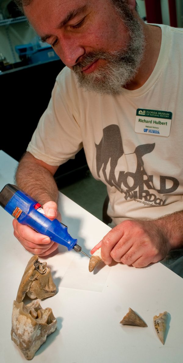 Richard Hulbert with fossil tooth