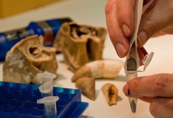 pouring tooth enamel into vial