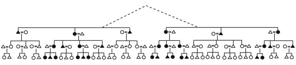 Shaded circles and triangles represent individuals that share the same female line of descent. Those not shaded belong to a number of other lineages and would be buried in different cemeteries. Some members of the shaded matrilineage are closely related biologically, while other members are distant biological relatives. Regardless, the men and women of that matrilineage should be buried together in the same cemetery. Figure by Ensor et al. in Current Anthropology diagram of related individuals